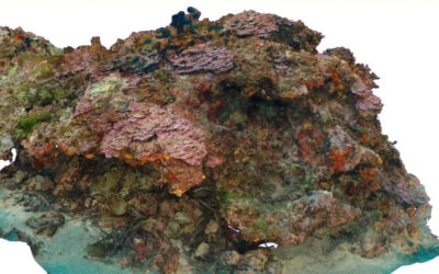 Trophées pour la biodiversité en Occitanie : décernez votre coup de cœur citoyen à notre projet !