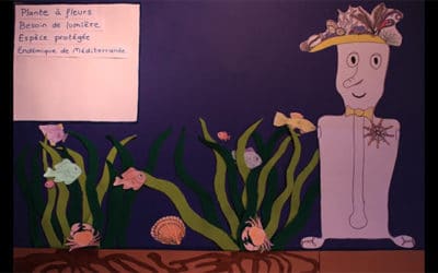Film scientifique sur la posidonie réalisé avec des étudiants de l’université de Montpellier