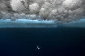 Adélie Mer 01 © Laurent Ballesta