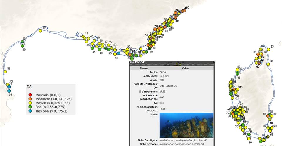 Exemple de carte disponible pour la surveillance des récifs coralligènes