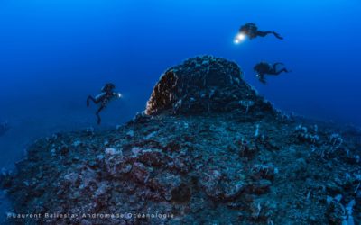 A la découverte du Mont sous-marin Lapérouse