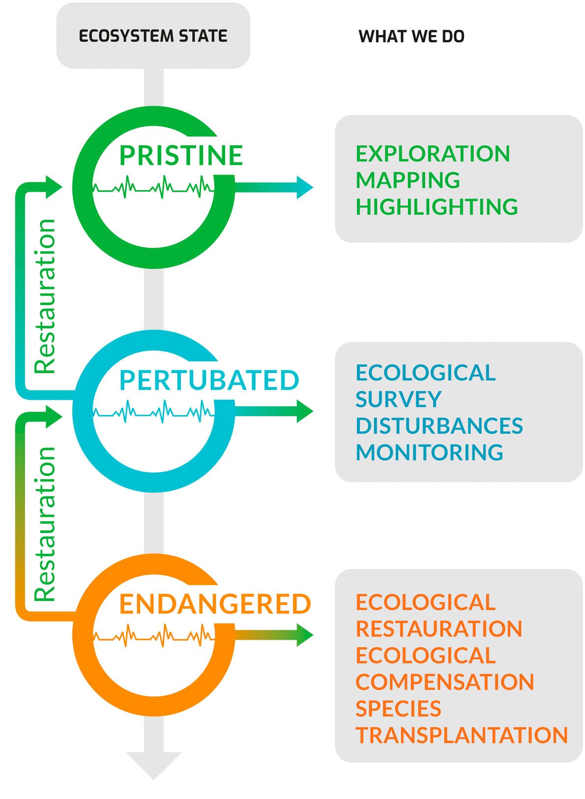 Diagramme Ecosysteme