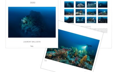 Notre calendrier 2020 est arrivé !