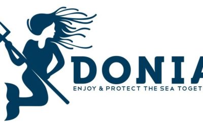 Participation au workshop « Anchors, away! »