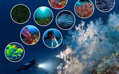 Manuscrit de thèse de doctorat disponible : « Développement de la photogrammétrie et d’analyses d’images pour l’étude et le suivi d’habitats marins »