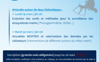 [SAVE THE DATE] Colloque MEDTRIX : « La Méditerranée une mer sous surveillance »/ lundi 29 et mardi 30 mars 2021 (Webinaires).