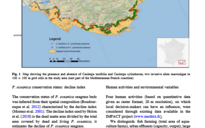 L’influence de l’environnement et des pressions anthropiques sur deux Caulerpes invasives