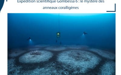 Expédition Gombessa 6,  Mission Cap Corse :  Le mystère des anneaux / Rapport intermédiaire de l’expédition