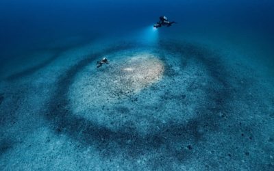 Gombessa 6 : Ultime mission au cœur des anneaux sous-marins afin de percer les mystères de ces trésors du Cap Corse