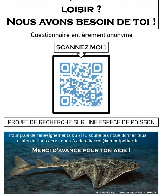 Appel à témoignages de rencontres avec des anges de mer en méditerranée Française ! (pêche loisirs et chasse sous-marine)