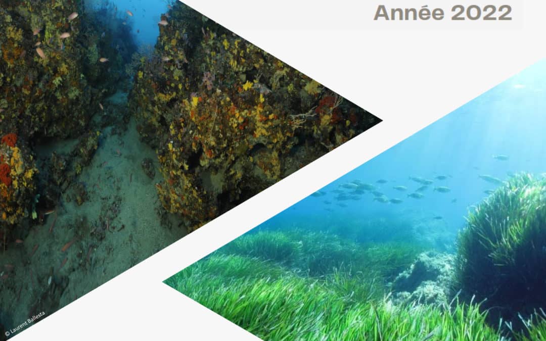 Synthèse des travaux sur la restauration écologique des petits fonds marins côtiers