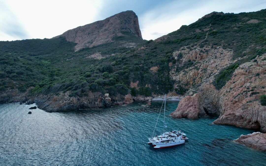 Fin de la campagne en Corse pour les réseaux de surveillance