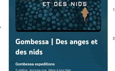 Des anges et des nids, 5 vidéos publiées