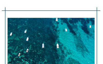 Sciences participatives avec Donia : participez à la collecte de données des points d’ancrage de la petite plaisance !