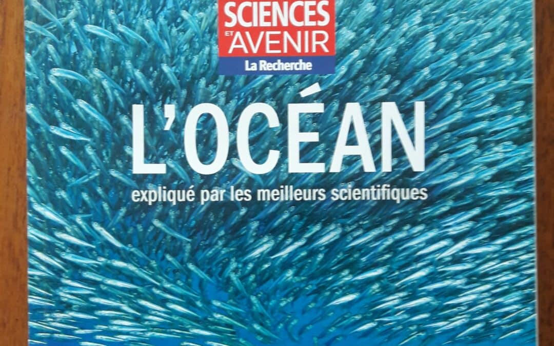 L’océan expliqué par les meilleurs scientifiques