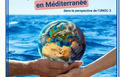 Participation au colloque « Nouveaux enjeux de protection de l’environnement en méditerranée »