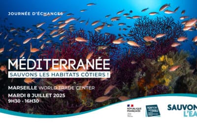 Journée d’échanges – Méditerranée : Sauvons les habitats côtiers ! (8 juillet)