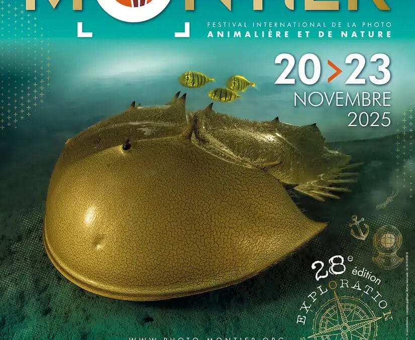 Laurent Ballesta à l’affiche de Montier-en-der