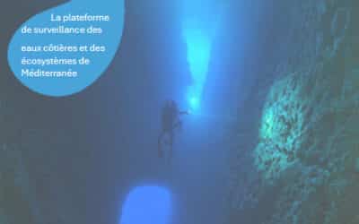 Les actes du colloque Medtrix 2025 sont en ligne