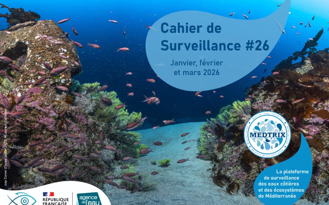 Cahier de surveillance Medtrix N°26