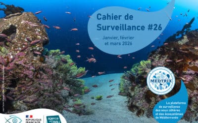 Cahier de surveillance Medtrix N°26