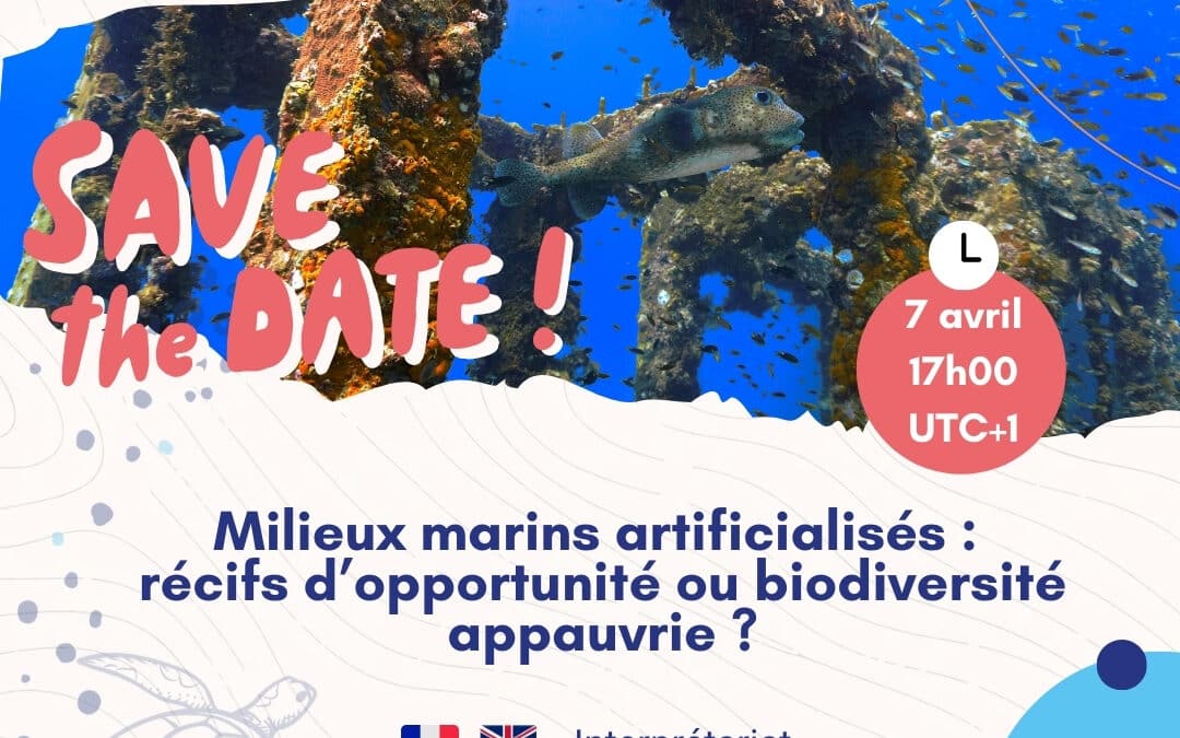 Webinaire le 7 avril : Milieux marins artificialisés, récifs d’opportunité ou biodiversité appauvrie ?