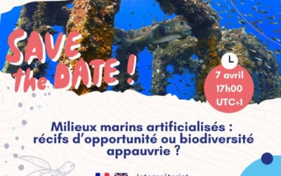 Webinaire le 7 avril : Milieux marins artificialisés, récifs d’opportunité ou biodiversité appauvrie ?