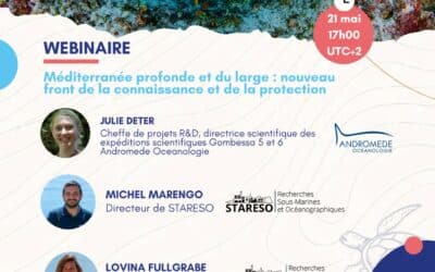 𝐖𝐞𝐛𝐢𝐧𝐚𝐢𝐫𝐞 le 21 mai : 𝐌𝐞́𝐝𝐢𝐭𝐞𝐫𝐫𝐚𝐧𝐞́𝐞 𝐩𝐫𝐨𝐟𝐨𝐧𝐝𝐞 𝐞𝐭 𝐝𝐮 𝐥𝐚𝐫𝐠𝐞 : 𝐥𝐞 𝐧𝐨𝐮𝐯𝐞𝐚𝐮 𝐟𝐫𝐨𝐧𝐭 𝐝𝐞 𝐥𝐚 𝐜𝐨𝐧𝐧𝐚𝐢𝐬𝐬𝐚𝐧𝐜𝐞 𝐞𝐭 𝐝𝐞 𝐥𝐚 𝐩𝐫𝐨𝐭𝐞𝐜𝐭𝐢𝐨𝐧