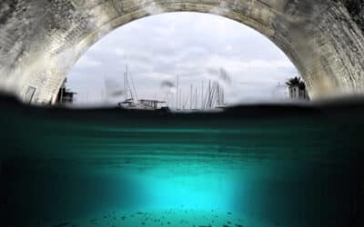Quand les villes gagnent la mer : l&rsquo;ADN environnemental révèle des communautés de poissons qui s&rsquo;uniformisent en Méditerranée