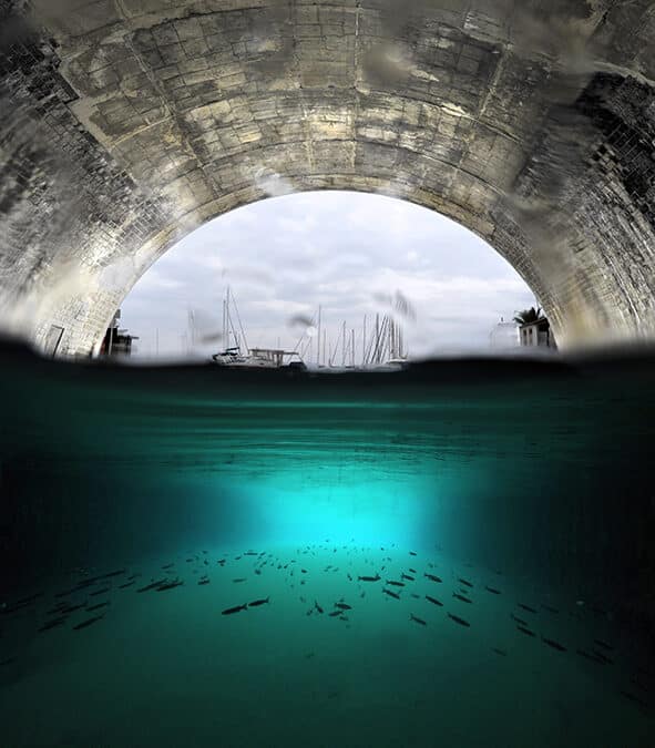 Quand les villes gagnent la mer : l&rsquo;ADN environnemental révèle des communautés de poissons qui s&rsquo;uniformisent en Méditerranée