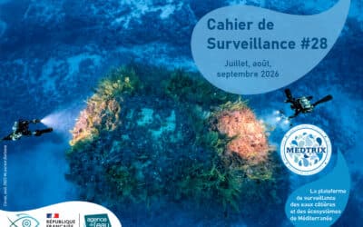 Le cahier de la surveillance des eaux côtières Medtrix N°28 est en ligne